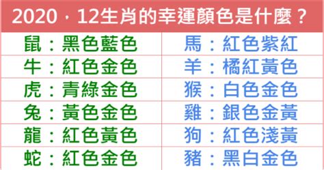 生肖龍幸運色|2024龍年生肖開運秘訣！幸運色、幸運數字、招財方位公開，立。